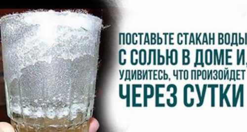 пришёл &171;питул&187;, а с ним &171;чир ань&187;